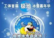2013工体首届极地冰雪嘉年华