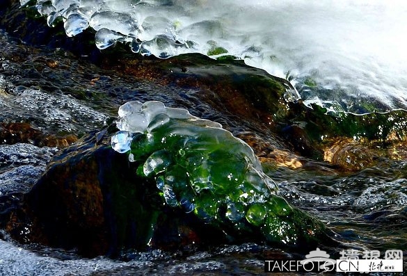 玉渡山 潺潺溪流现“冰翡翠”景观[墙根网]