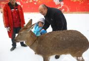 北京冬季亲子游 冰雪节里乐翻天