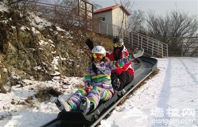 南山滑雪场的娱乐设施旱地雪橇。