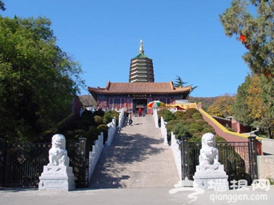 北京遗址公园展现古城魅力[墙根网]