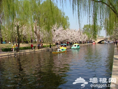 北京遗址公园展现古城魅力[墙根网]