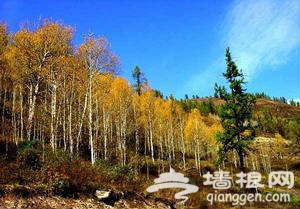  天津蓟县九龙山森林公园