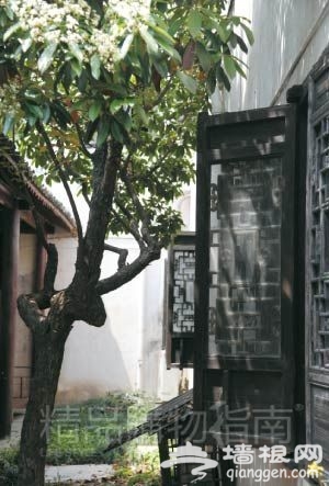 乌镇的民居里充满了浓浓的江南人家风情