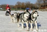 2013第三届狂飙乐园冰雪节感悟冰雪文化