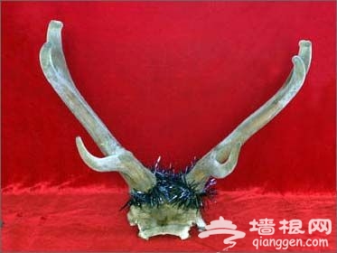 年味十足盘点各地“宝贝”之北方特色年货篇