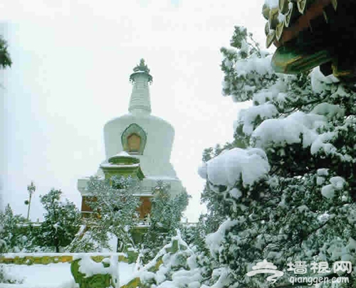 游在西城 来西城赏美景欢欢喜喜过大年