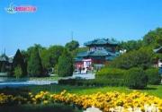 北京赏花好去处 中山公园唐花坞