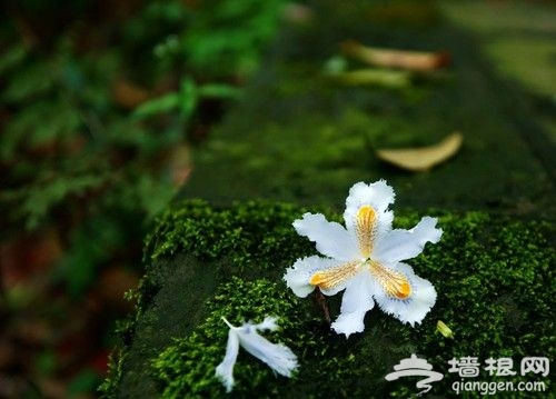 10处赏春采风地 拍出2013年的明媚春光
