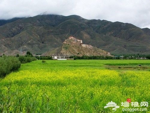 10处赏春采风地 拍出2013年的明媚春光