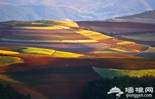 10处赏春采风地 拍出2013年的明媚春光