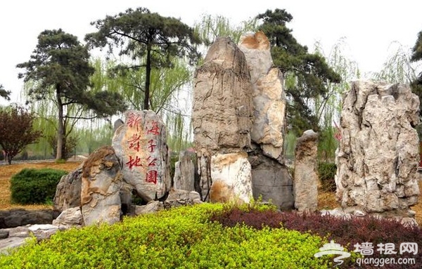 春游好去处 探寻北京南城免费郊野公园