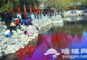 2013年京城春意