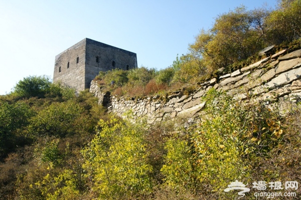 2013北京生态游 植树节还我蓝天播下希望的种子