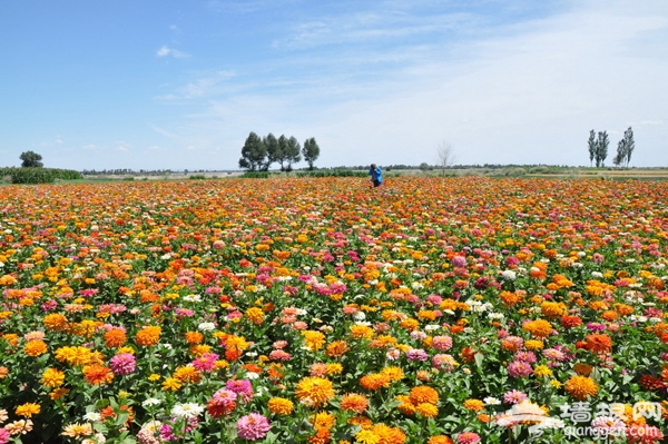 2013北京生态游 植树节还我蓝天播下希望的种子