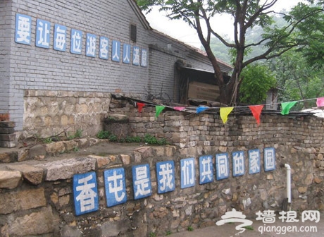 北京踏青赏花好去处 吃开河鱼住农家院(旅游攻略)
