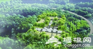 市民免费游东郊森林公园 享京东天然氧吧