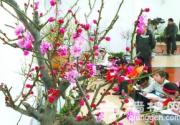 2013中山公园梅兰文化节开幕
