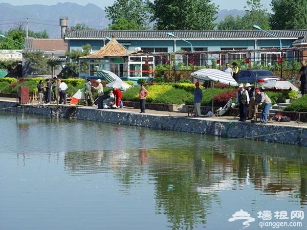 芳草渔村 尝特色农家味道