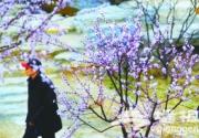 2013北京首届森林公园旅游节开幕
