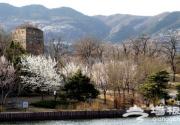 2013香山公园第十一届山花节活动