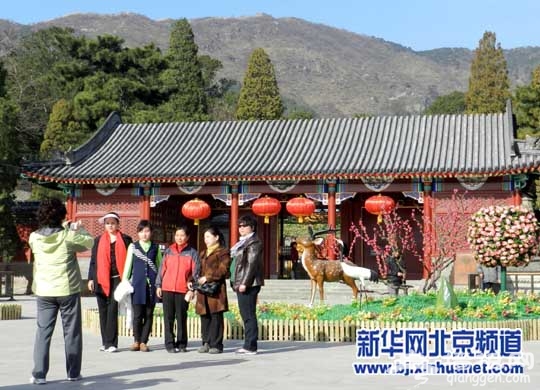 2013北京香山公园第十一届山花节开幕[墙根网]