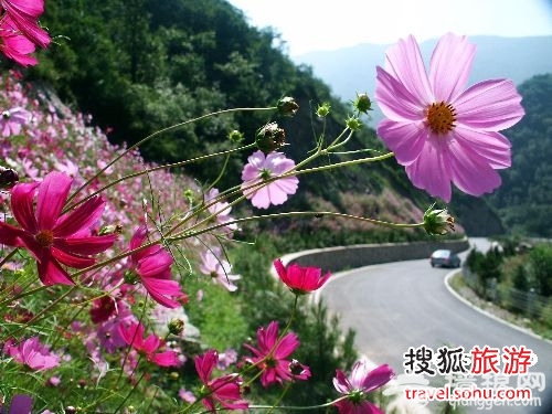 五一小长假 门头沟自驾四大路线[墙根网]