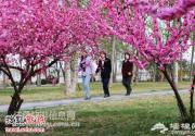 五一踏青怀柔旅游特色线路