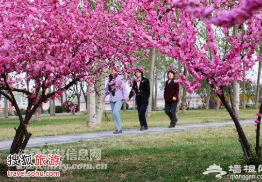 五一踏青怀柔旅游特色线路