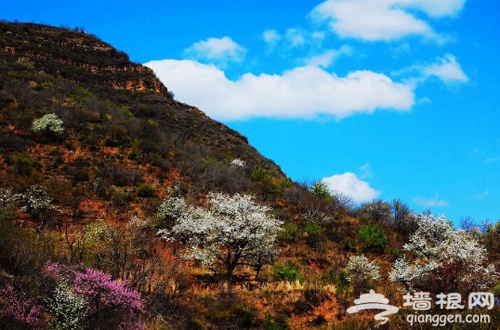 走进桃花 走出美丽 平谷十大登山徒步路线推荐