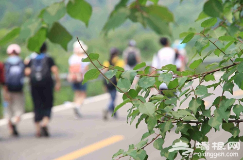 走进桃花 走出美丽 平谷十大登山徒步路线推荐