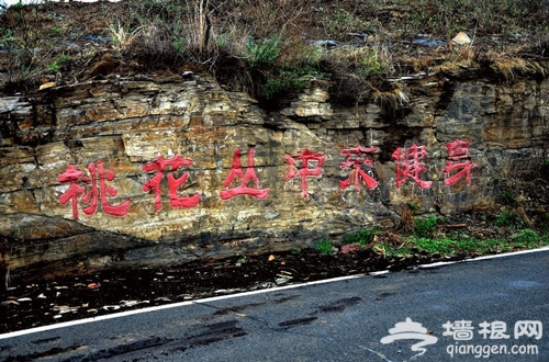 走进桃花 走出美丽 平谷十大登山徒步路线推荐