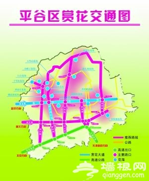 2013平谷十大桃花海即将陆续绽放[墙根网]