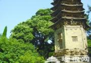 京城古刹潭柘寺 赏古娑罗树