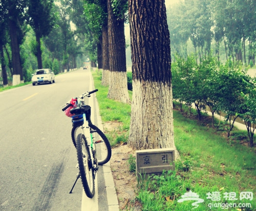 “五一”骑行游京郊 换个方式“逃离”北京