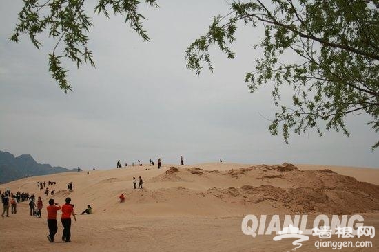2013第六届中国怀来海棠花节开幕[墙根网]