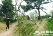 试运营9天园博园多处草地被踩秃