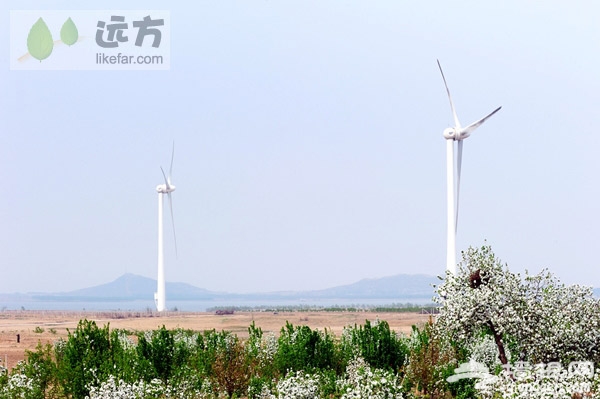 河北怀来海棠花观赏自助游攻略[墙根网]