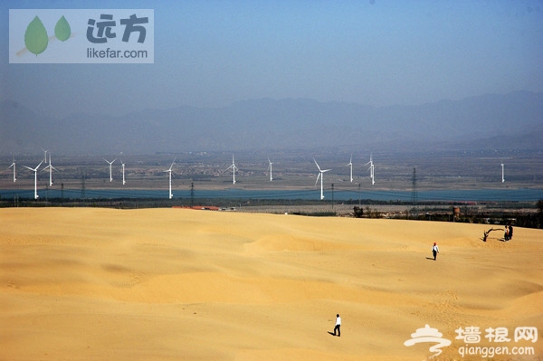 河北怀来海棠花观赏自助游攻略[墙根网]