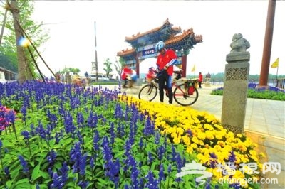 第2届通州运河绿道骑游节:五千骑手畅游首都城市副中心[墙根网]