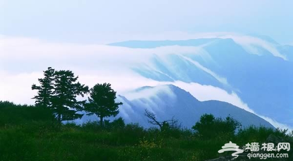 “百名博主游房山”大型博主招募活动[墙根网]