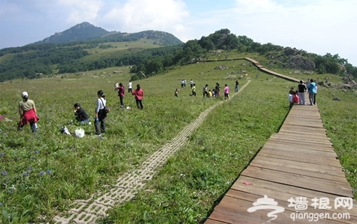 “百名博主游房山”大型博主招募活动[墙根网]