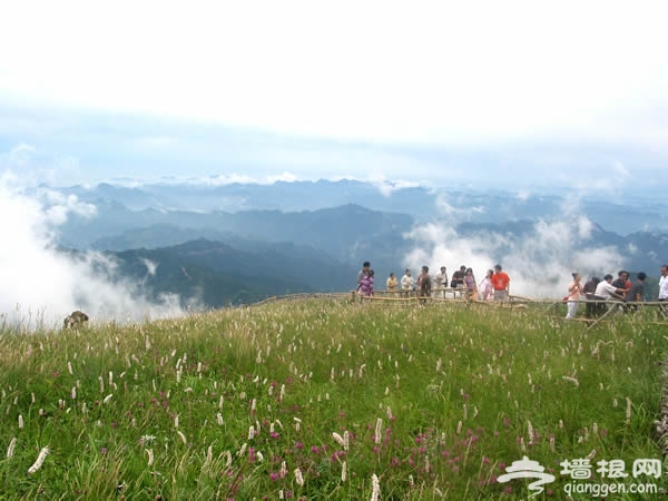 “百名博主游房山”大型博主招募活动[墙根网]