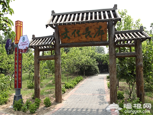 2013第十二届北京大兴安定桑椹文化节隆重开幕