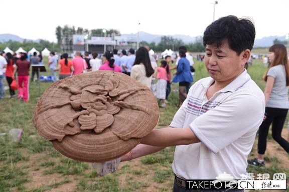 2013花田音乐节灵芝王来捧场[墙根网]