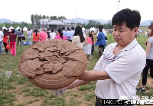 2013花田音乐节灵芝王来捧场