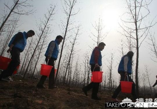 通州东郊公园年底有望开放 将成北京最大森林公园
