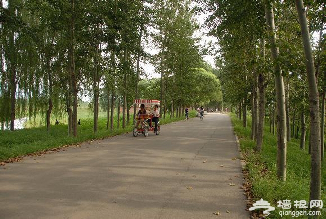 顺义汉石桥湿地公园 趣味自行车推荐路线