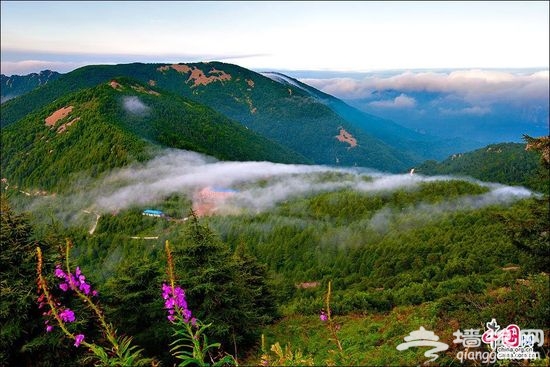 雾灵山 陶醉在盛夏17℃的清凉世界