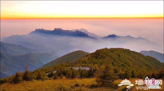 雾灵山 陶醉在盛夏17℃的清凉世界
